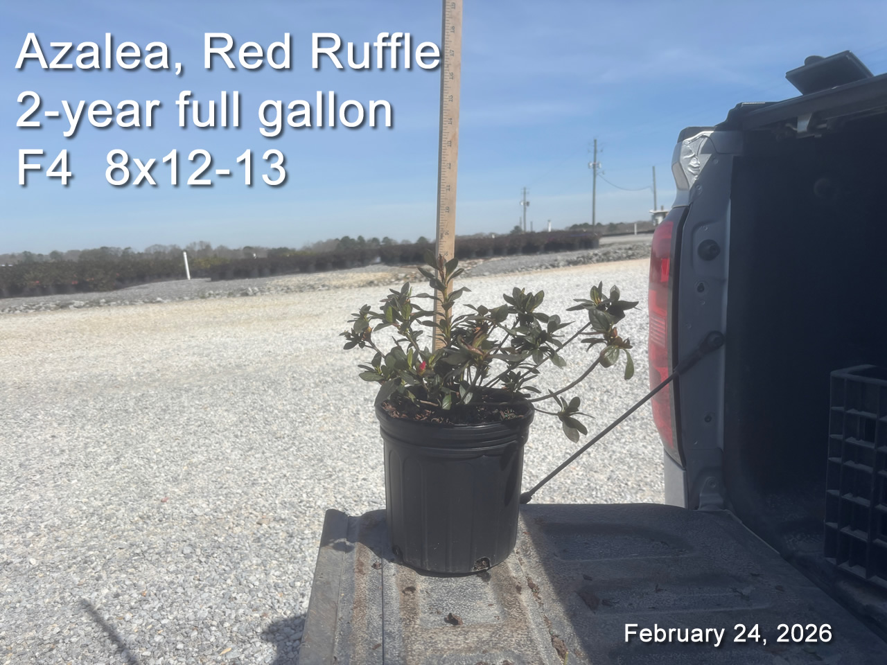 gallery/rr2yf f4 feb24.jpg